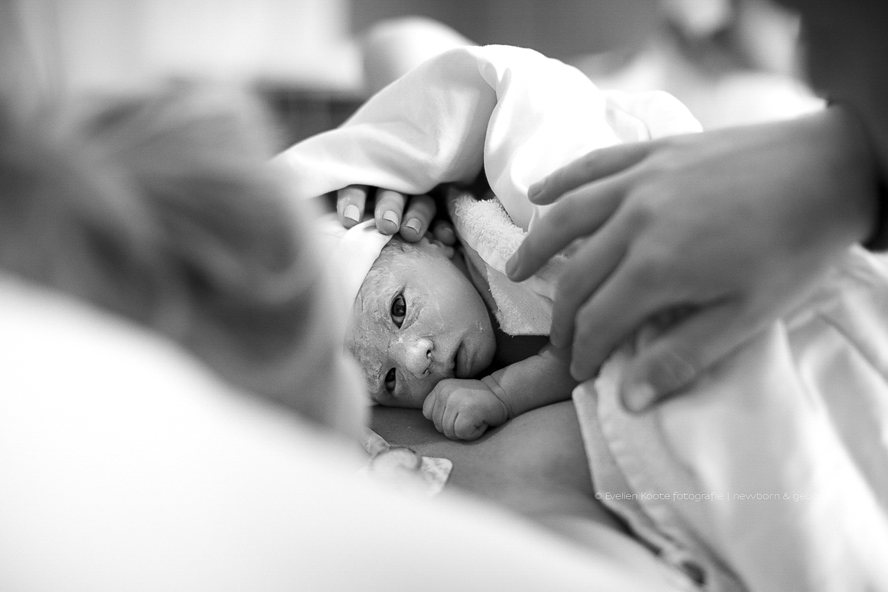 Love & Little fotografie - Evelien Koote newborn en geboortefotograaf - Den Bosch