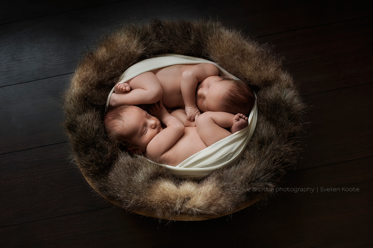 Newborn fotografie tweeling - Love & Little fotografie - Zaltbommel