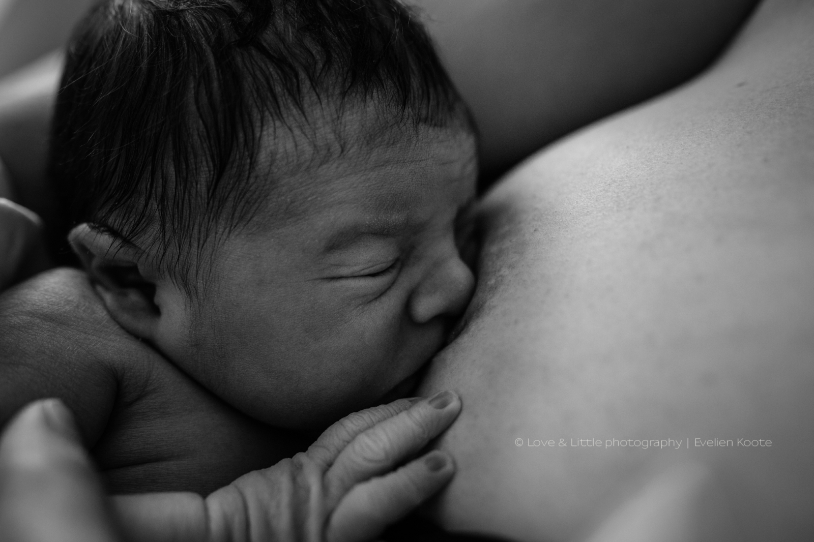 Geboortefotografie Den Bosch - Love & Little geboortefotografie - newborn & geboortefotograaf