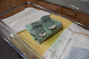 Geboortefotograaf Brabant - Love & Little geboortefotografie - den Bosch
