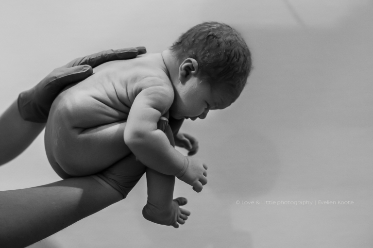 Geboortefotografie den Bosch - Love & Little geboortefotografie